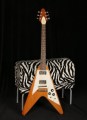 Vintage Guitar Show 2009