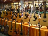 Vintage Guitar Show 2010